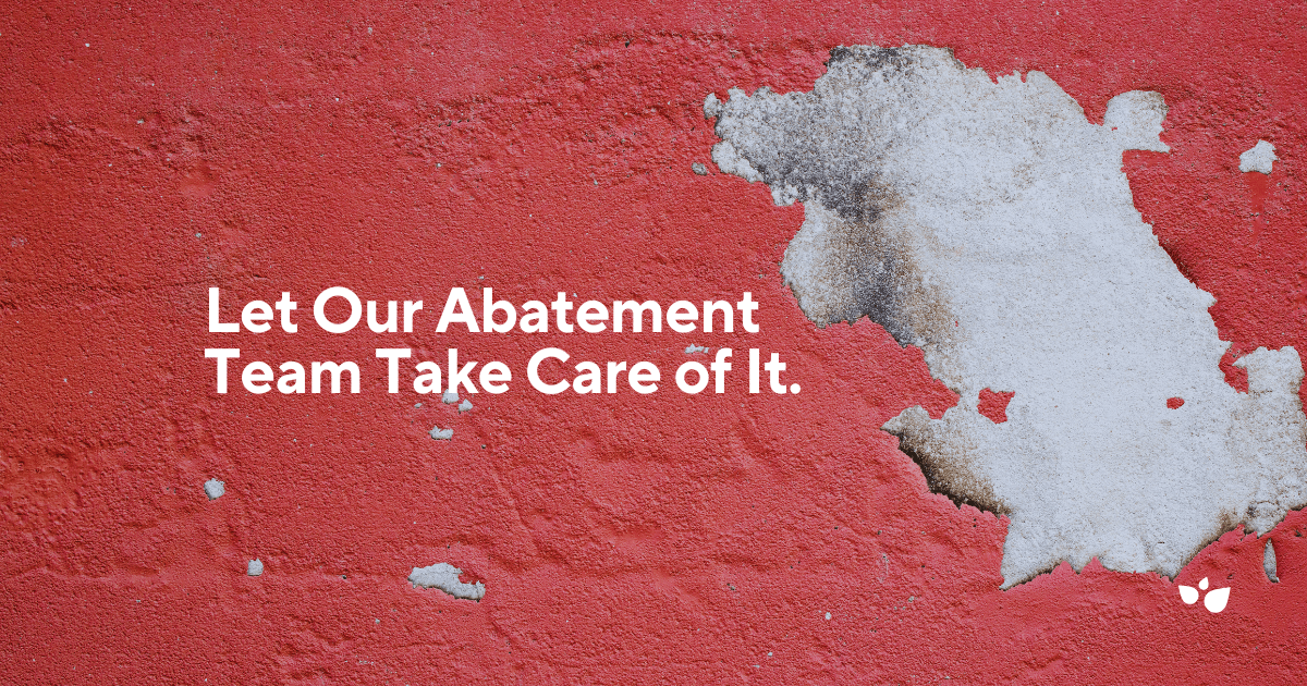 A Guide to Lead Abatement and Protecting Against Lead Exposure